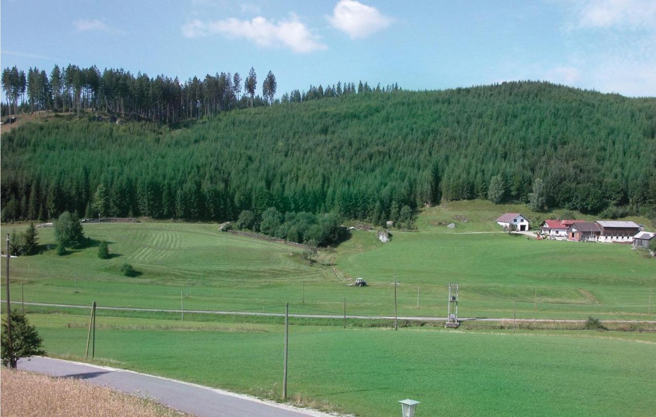 Ferienwohnung - Waldviertel Barnkopf Zewnętrze zdjęcie